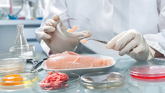 food biologist testing raw chicken and meat for safety